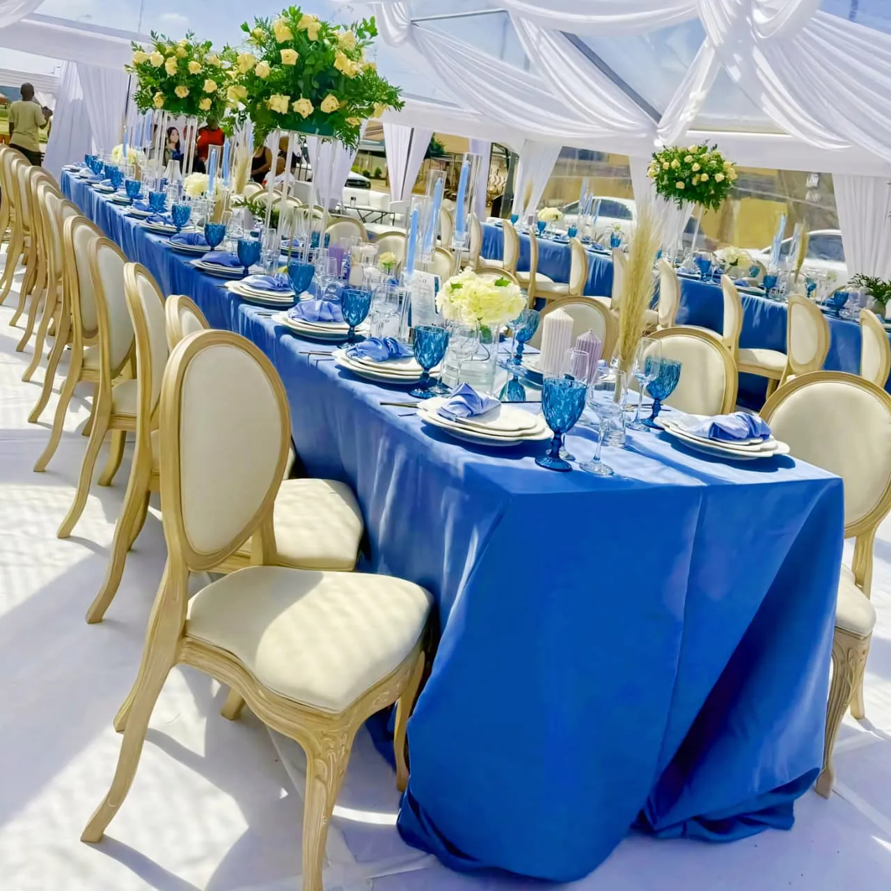 French Louis Chairs